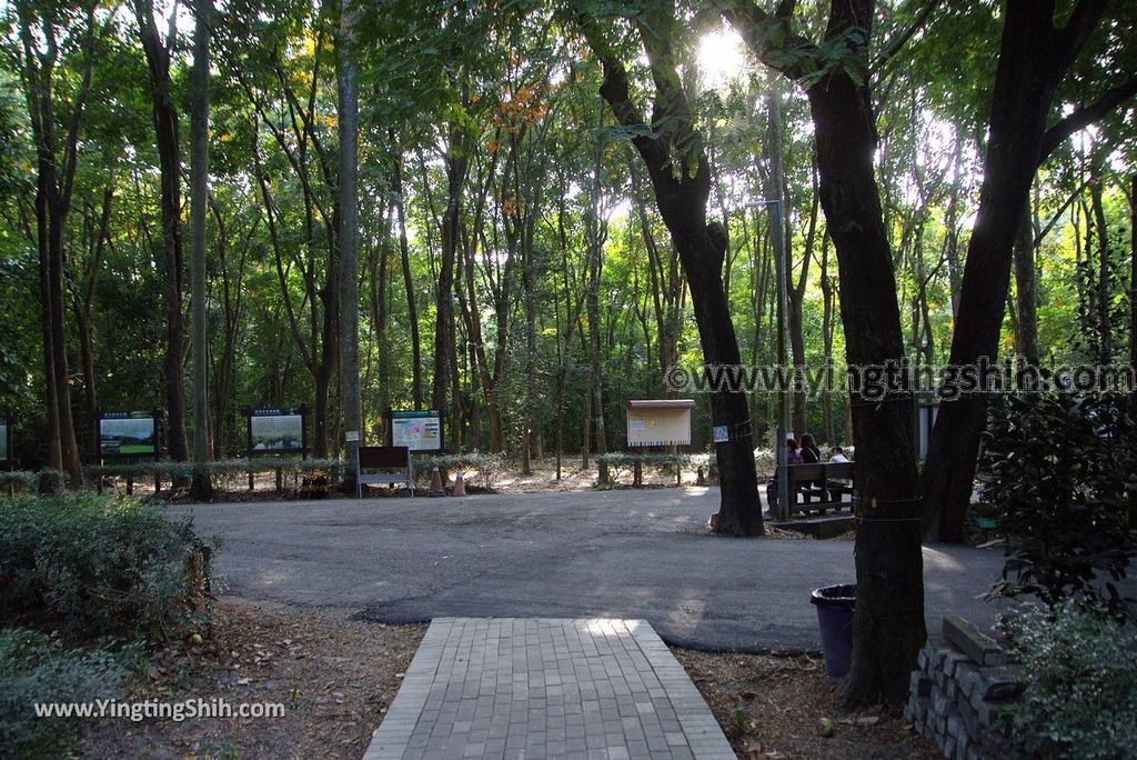 YTS_YTS_20181228_嘉義東區林業試驗所嘉義樹木園／山仔頂植物園Chiayi East District Chiayi Botanical Garden137_3A5A0181.jpg