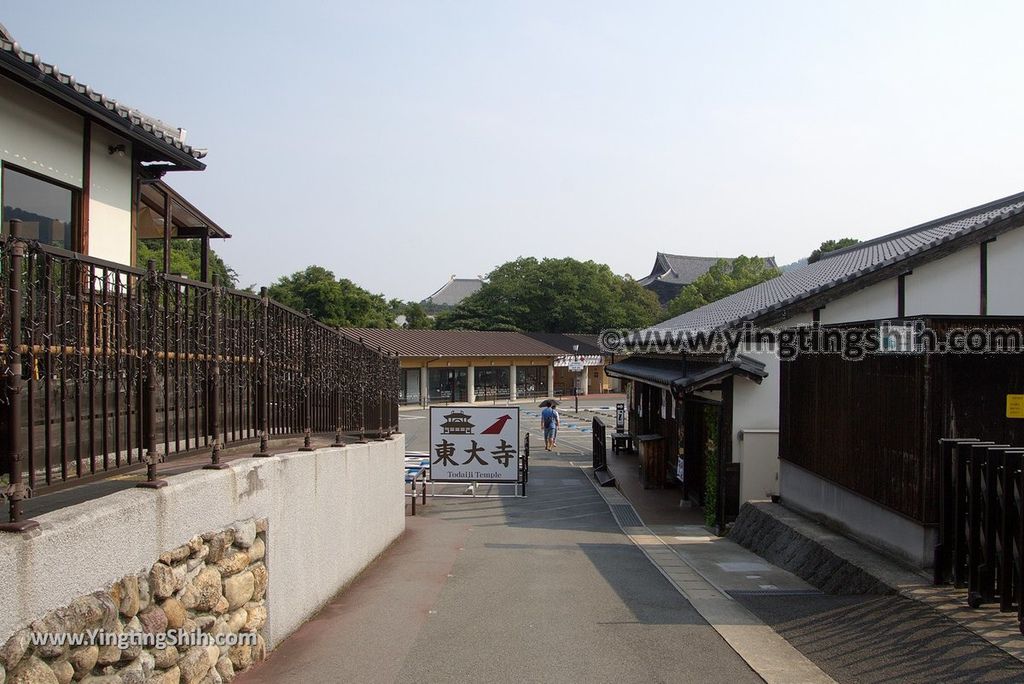 YTS_YTS_20180717_Japan Kansai Nara Todai-ji日本關西奈良東大寺／世界文化遺產008__3A5A7074.jpg