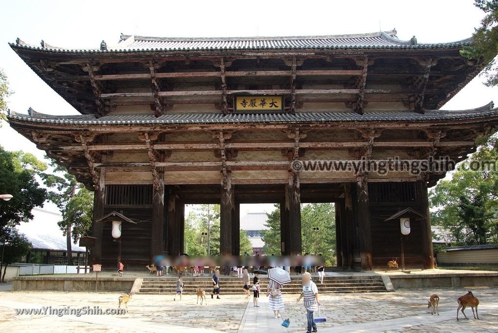 YTS_YTS_20180717_Japan Kansai Nara Todai-ji日本關西奈良東大寺／世界文化遺產030_3A5A7245.jpg