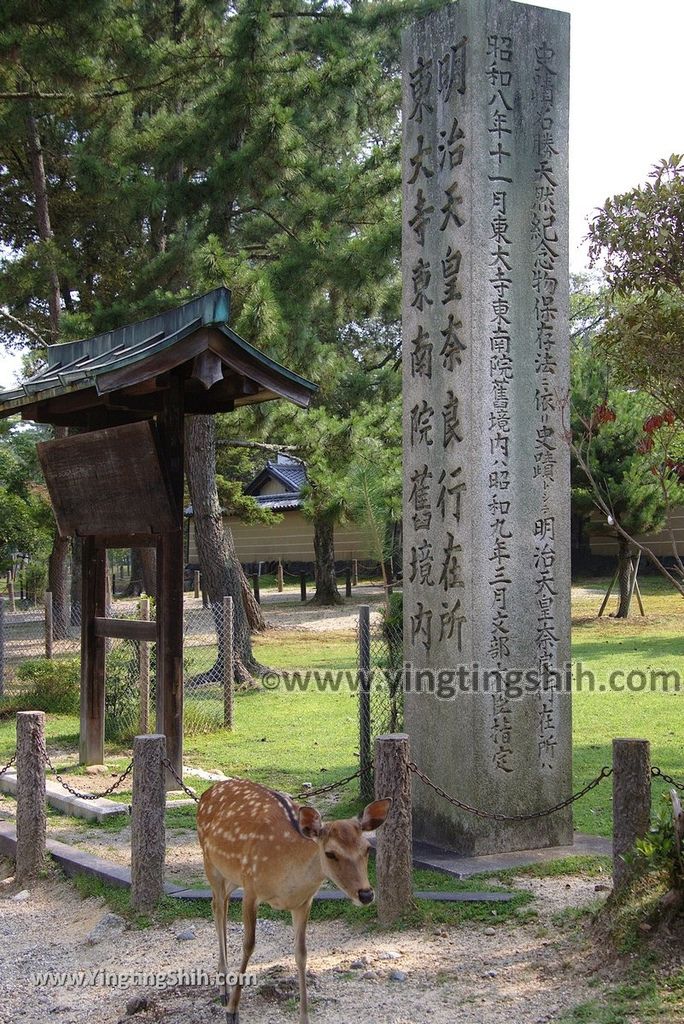 YTS_YTS_20180717_Japan Kansai Nara Todai-ji日本關西奈良東大寺／世界文化遺產043_3A5A7409.jpg