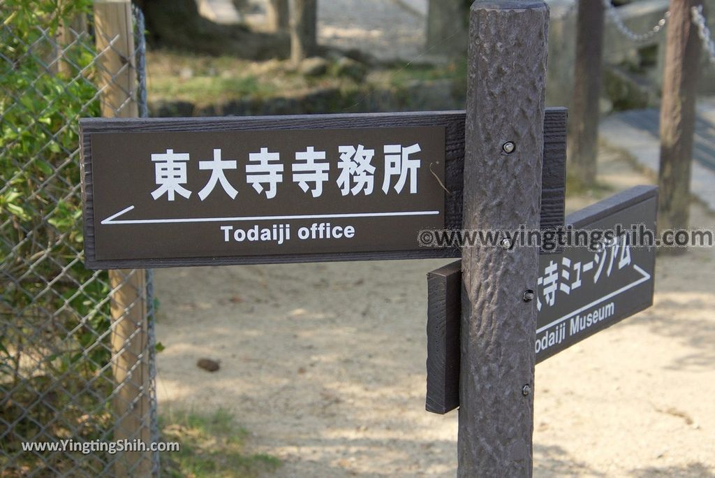 YTS_YTS_20180717_Japan Kansai Nara Todai-ji日本關西奈良東大寺／世界文化遺產050_3A5A7457.jpg