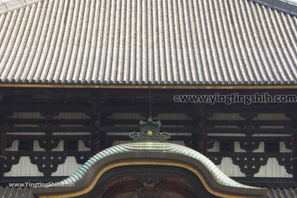 YTS_YTS_20180717_Japan Kansai Nara Todai-ji日本關西奈良東大寺／世界文化遺產097_3A5A8095.jpg