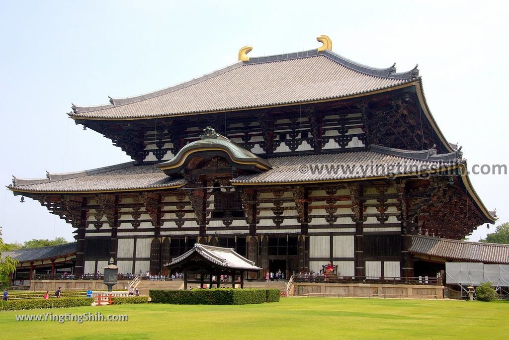 YTS_YTS_20180717_Japan Kansai Nara Todai-ji日本關西奈良東大寺／世界文化遺產178_3A5A9542.jpg