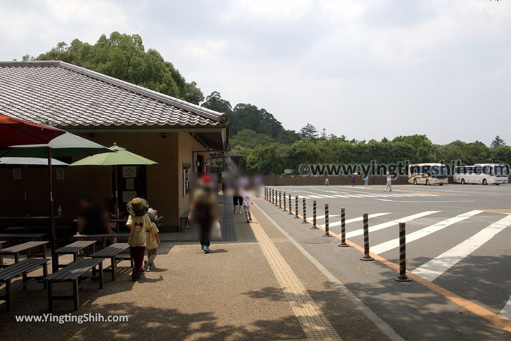 YTS_YTS_20180717_Japan Kansai Nara Todai-ji日本關西奈良東大寺／世界文化遺產184_3A5A1636.jpg