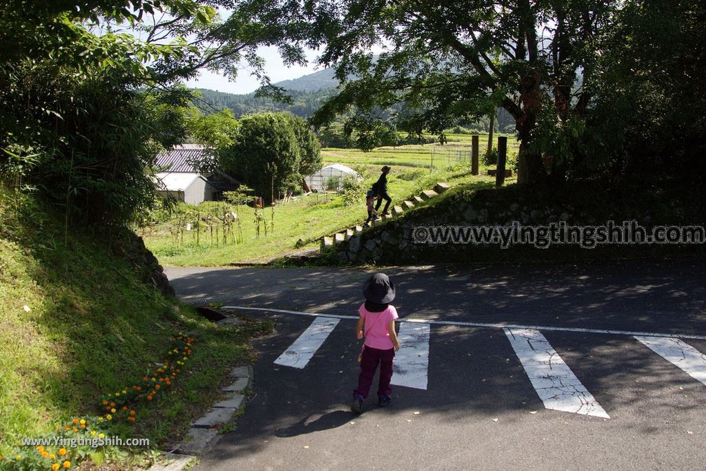 YTS_YTS_20180808_日本九州大分九重夢大吊橋／震動の滝／北方展望台／白鳥神社Japan Kyushu Oita Kokonoe Yume Suspension Bridge143_3A5A2214.jpg