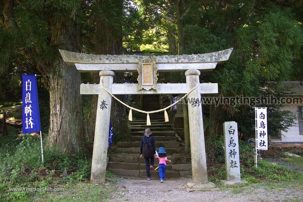 YTS_YTS_20180808_日本九州大分九重夢大吊橋／震動の滝／北方展望台／白鳥神社Japan Kyushu Oita Kokonoe Yume Suspension Bridge151_3A5A2241.jpg