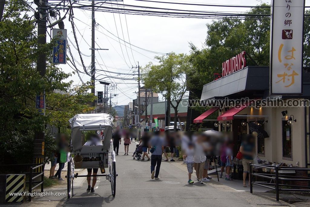 YTS_YTS_20180808_日本九州大分金鱗湖／湯之坪商店街／由布院溫泉街Japan Kyushu Oita Kinrin Lake／Yunotsubo Street053_3A5A5345.jpg