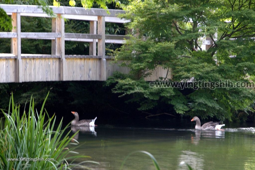 YTS_YTS_20180808_日本九州大分金鱗湖／湯之坪商店街／由布院溫泉街Japan Kyushu Oita Kinrin Lake／Yunotsubo Street138_3A5A5822.jpg