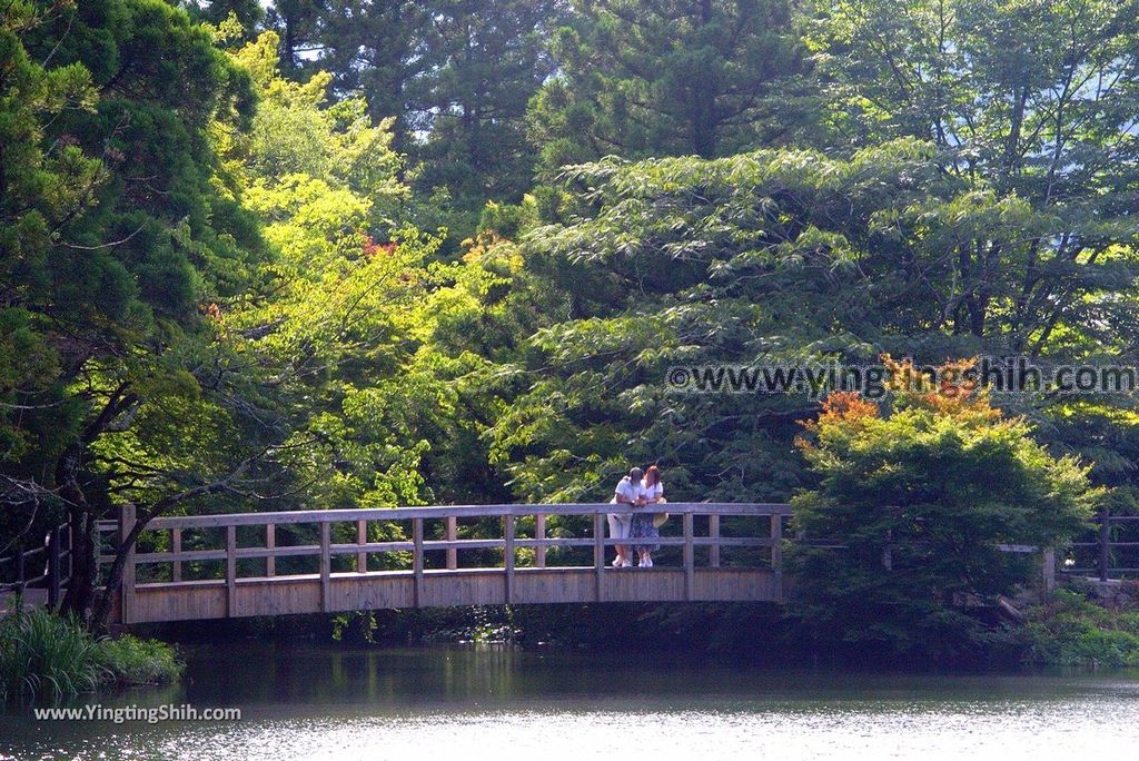 YTS_YTS_20180808_日本九州大分金鱗湖／湯之坪商店街／由布院溫泉街Japan Kyushu Oita Kinrin Lake／Yunotsubo Street137_3A5A5777.jpg