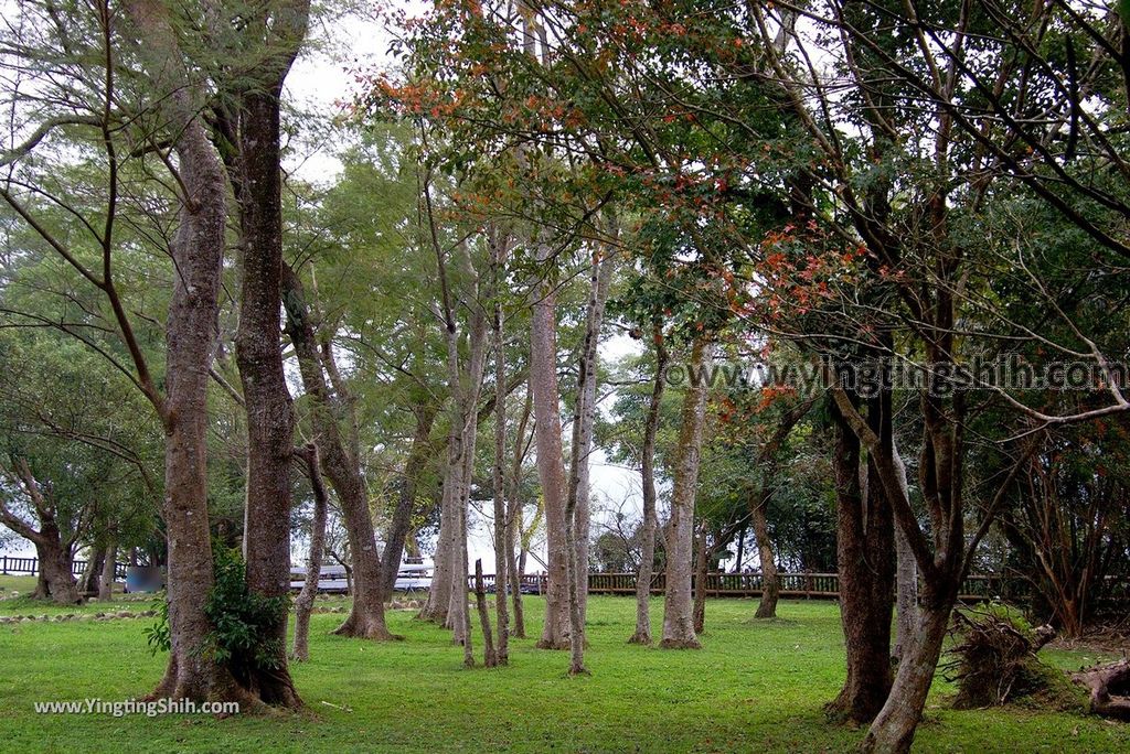 YTS_YTS_20190105_桃園大溪阿姆坪生態園區／阿姆坪遊艇碼頭Taoyuan Daxi Amuping Marina022_3A5A5021.jpg