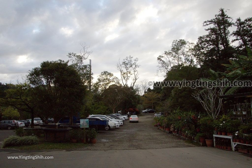 YTS_YTS_20190106_桃園大溪花開了休閒農場／國際高鐵大溪站Taoyuan Daxi Flower Opening／Blossoms Leisure Farm041_3A5A6605.jpg