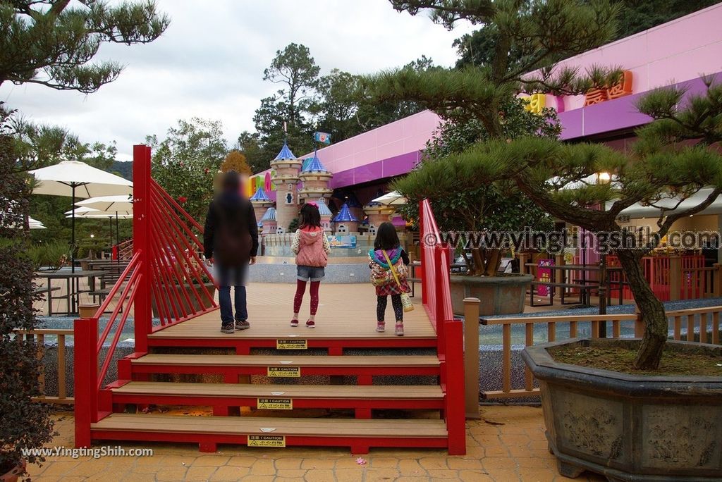 YTS_YTS_20190106_桃園大溪花開了休閒農場／國際高鐵大溪站Taoyuan Daxi Flower Opening／Blossoms Leisure Farm072_3A5A6707.jpg