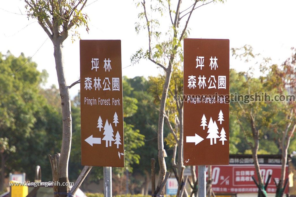 YTS_YTS_20181230_台中太平坪林森林公園／兒童遊戲區Taichung Taiping Pinglin Forest Park003_3A5A5460.jpg