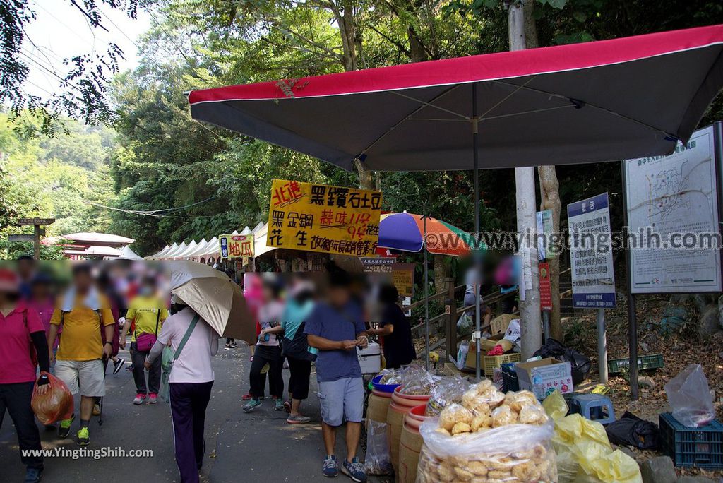 YTS_YTS_20181006_台中北屯大坑九、十號登山步道Taichung Beitun Dakeng Trail No9,9-1,10011_3A5A0936.jpg