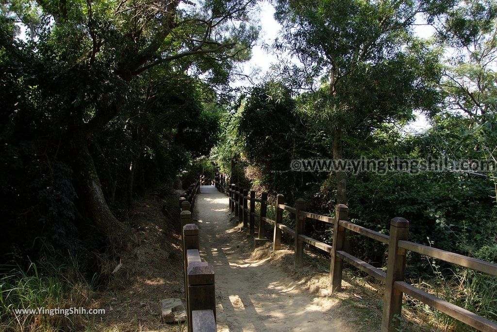 YTS_YTS_20181006_台中北屯大坑九、十號登山步道Taichung Beitun Dakeng Trail No9,9-1,10029_3A5A1105.jpg