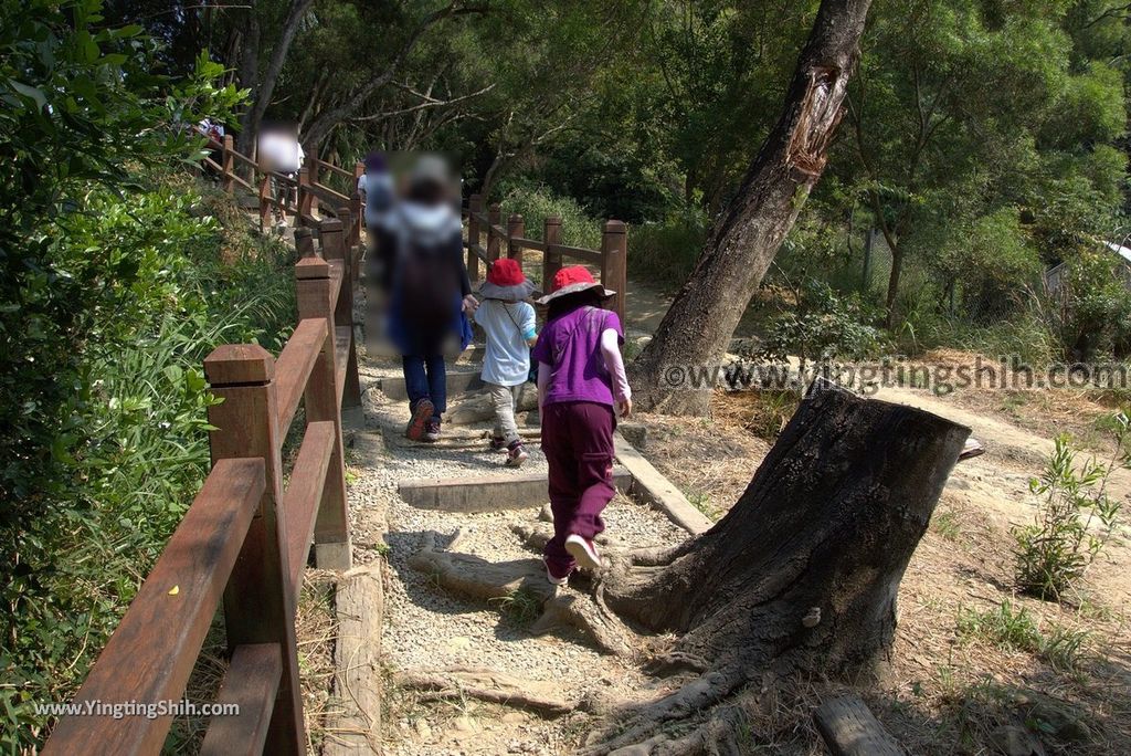 YTS_YTS_20181006_台中北屯大坑九、十號登山步道Taichung Beitun Dakeng Trail No9,9-1,10032_3A5A1145.jpg