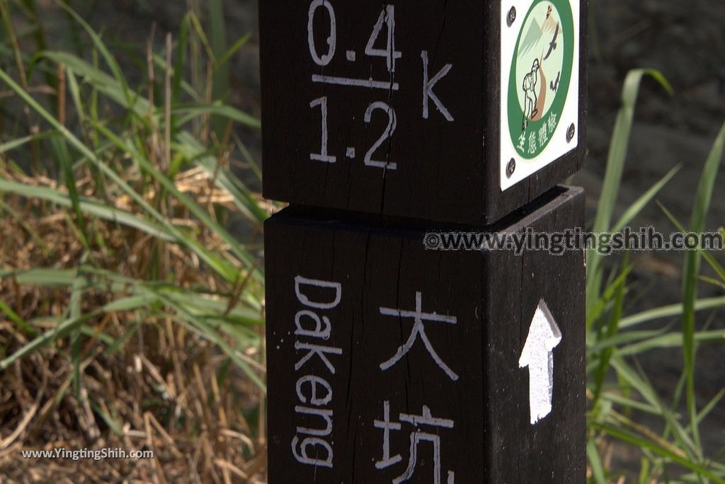 YTS_YTS_20181006_台中北屯大坑九、十號登山步道Taichung Beitun Dakeng Trail No9,9-1,10035_3A5A1168.jpg