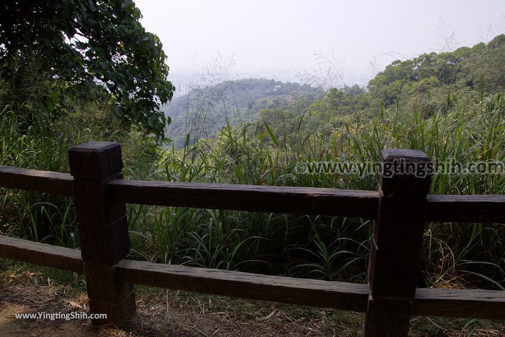 YTS_YTS_20181006_台中北屯大坑九、十號登山步道Taichung Beitun Dakeng Trail No9,9-1,10074_3A5A1510.jpg