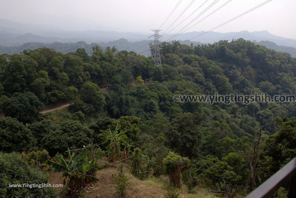 YTS_YTS_20181006_台中北屯大坑九、十號登山步道Taichung Beitun Dakeng Trail No9,9-1,10086_3A5A1618.jpg