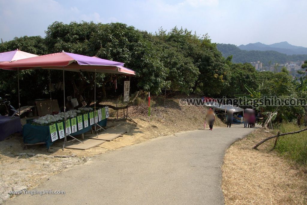 YTS_YTS_20181006_台中北屯大坑九、十號登山步道Taichung Beitun Dakeng Trail No9,9-1,10127_3A5A1860.jpg