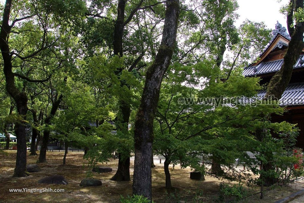 YTS_YTS_20180822_日本九州福岡扶桑最初禪窟／日本最早禪寺／安國山聖福寺Japan Kyushu Fukuoka Shofukuji Temple032_3A5A7273.jpg