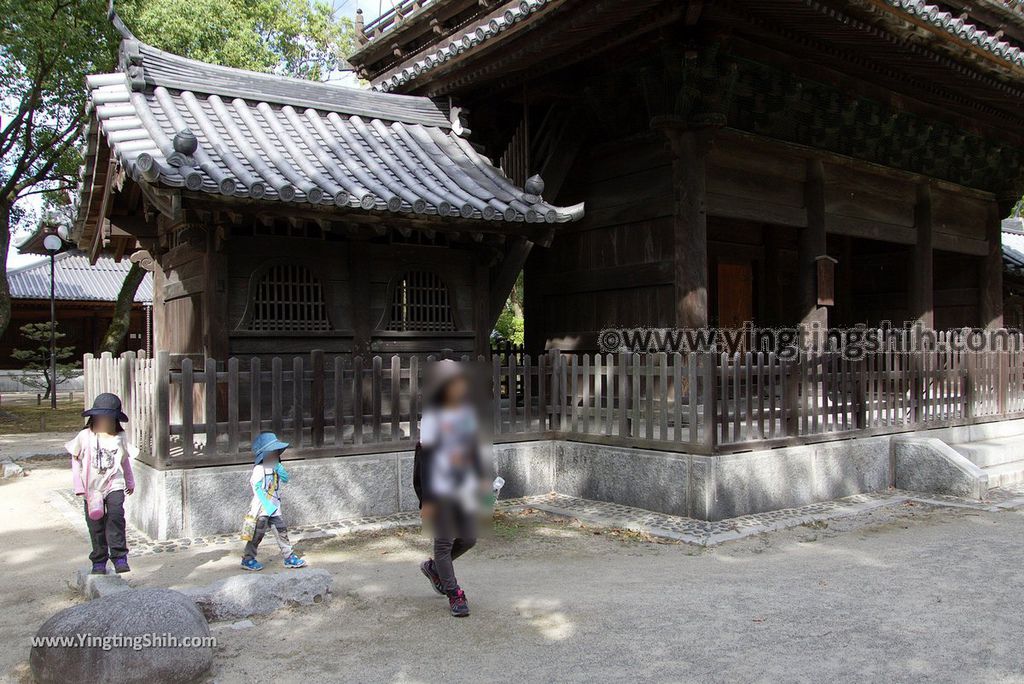 YTS_YTS_20180822_日本九州福岡扶桑最初禪窟／日本最早禪寺／安國山聖福寺Japan Kyushu Fukuoka Shofukuji Temple079_3A5A7512.jpg