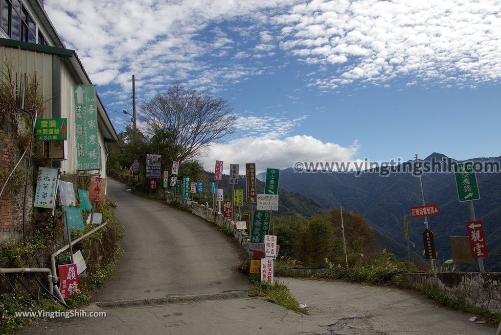 YTS_YTS_20190105_桃園復興塔曼山登山步道Taoyuan Fuxing Tamanshan Hiking Trail004_3A5A2934.jpg