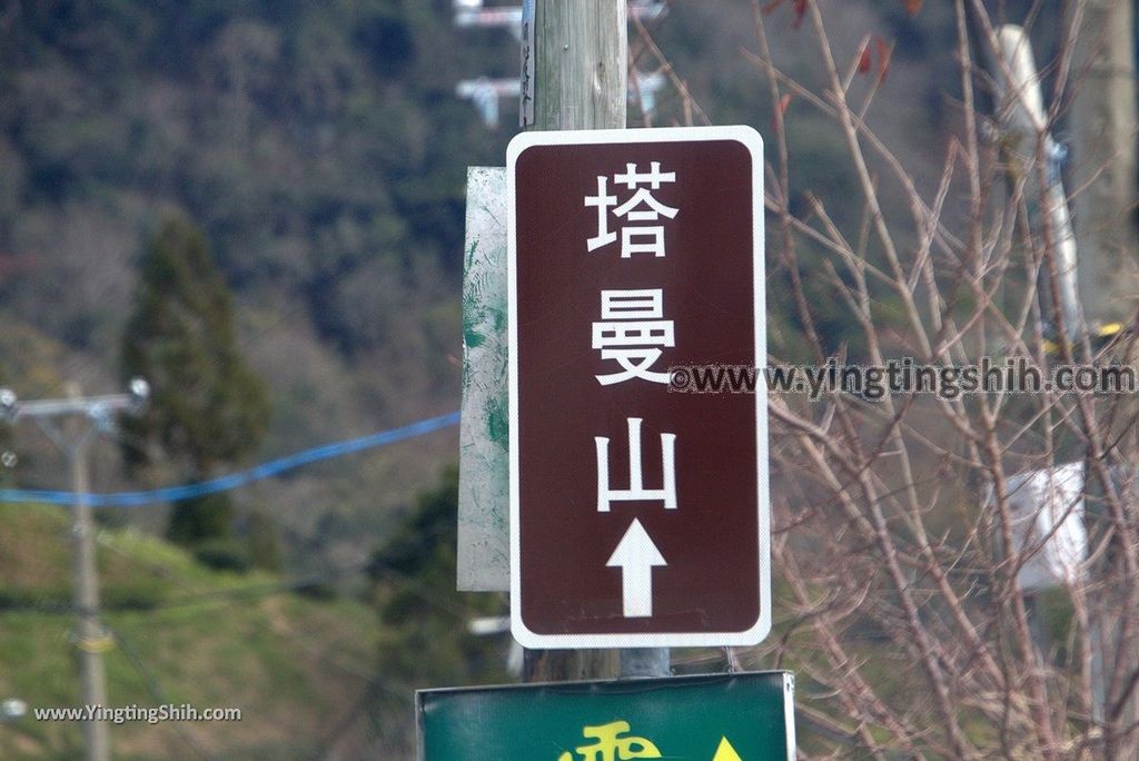 YTS_YTS_20190105_桃園復興塔曼山登山步道Taoyuan Fuxing Tamanshan Hiking Trail015_3A5A3219.jpg