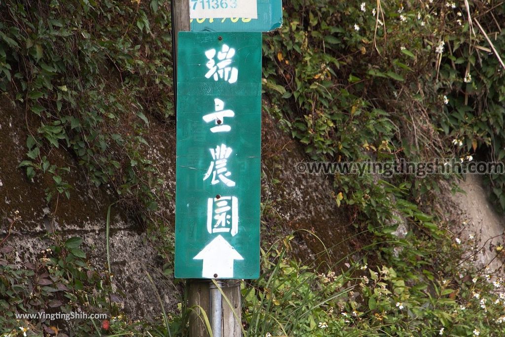 YTS_YTS_20190105_桃園復興塔曼山登山步道Taoyuan Fuxing Tamanshan Hiking Trail017_3A5A3226.jpg