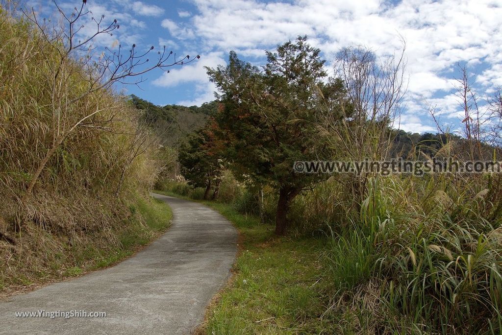 YTS_YTS_20190105_桃園復興塔曼山登山步道Taoyuan Fuxing Tamanshan Hiking Trail022_3A5A3246.jpg