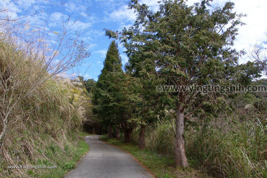 YTS_YTS_20190105_桃園復興塔曼山登山步道Taoyuan Fuxing Tamanshan Hiking Trail026_3A5A3276.jpg