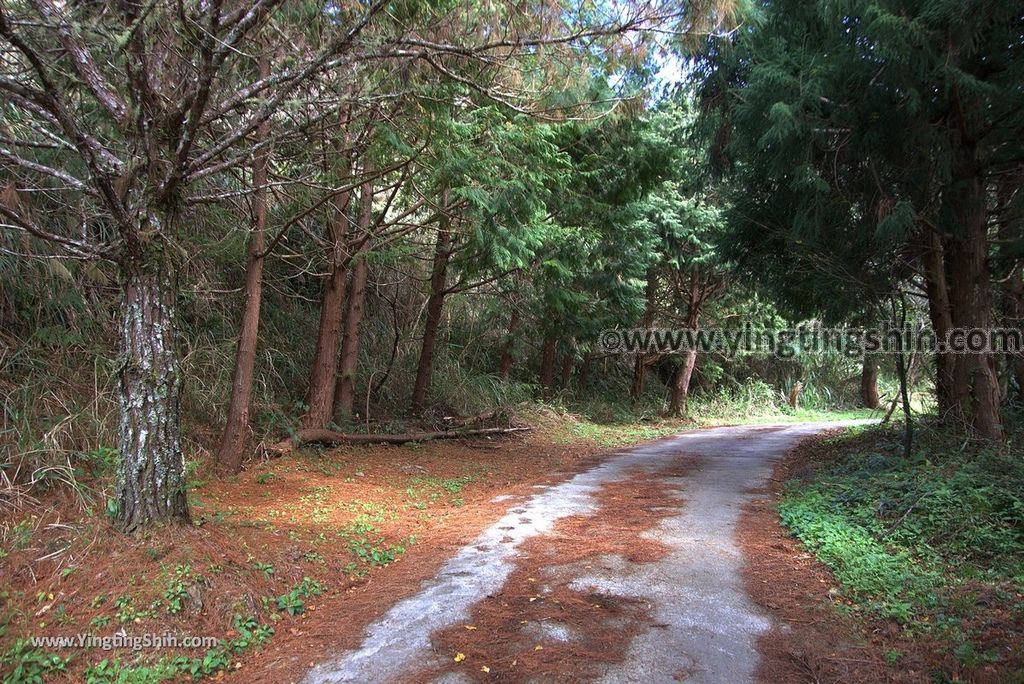 YTS_YTS_20190105_桃園復興塔曼山登山步道Taoyuan Fuxing Tamanshan Hiking Trail027_3A5A3309.jpg