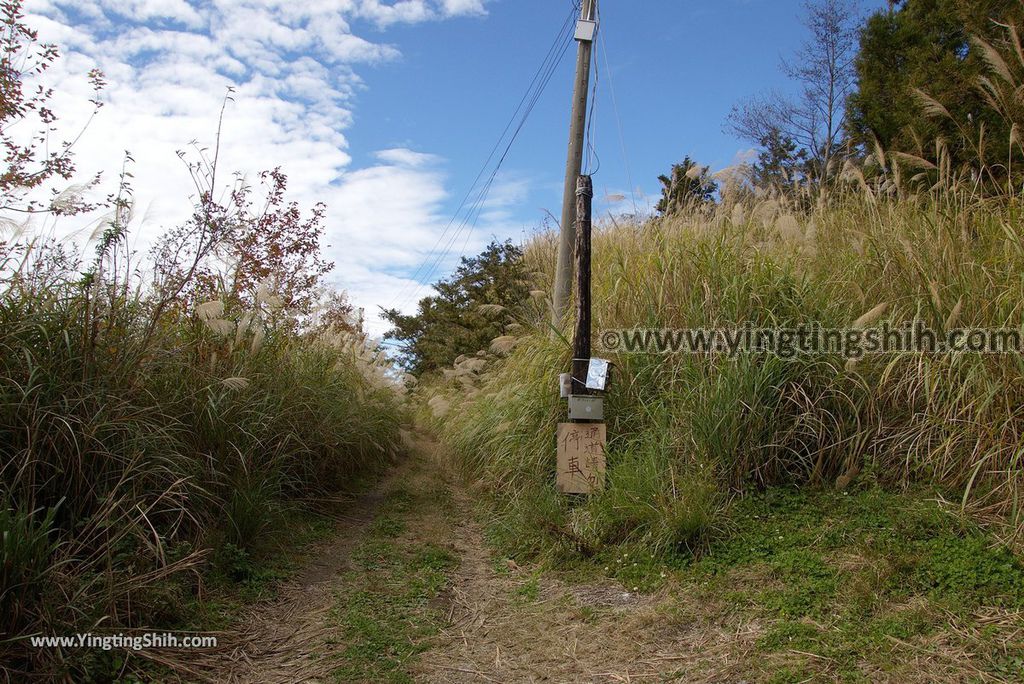 YTS_YTS_20190105_桃園復興塔曼山登山步道Taoyuan Fuxing Tamanshan Hiking Trail032_3A5A3388.jpg