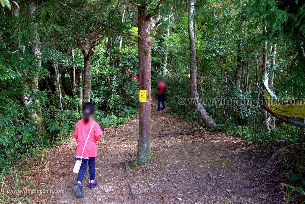 YTS_YTS_20190105_桃園復興塔曼山登山步道Taoyuan Fuxing Tamanshan Hiking Trail036_3A5A3420.jpg