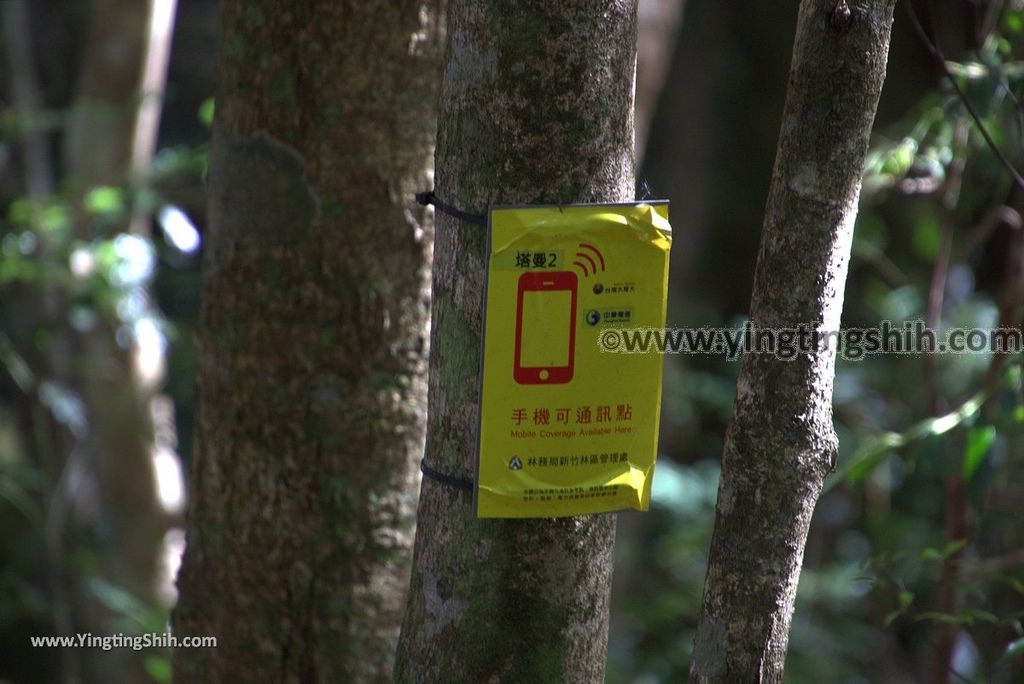 YTS_YTS_20190105_桃園復興塔曼山登山步道Taoyuan Fuxing Tamanshan Hiking Trail047_3A5A3516.jpg