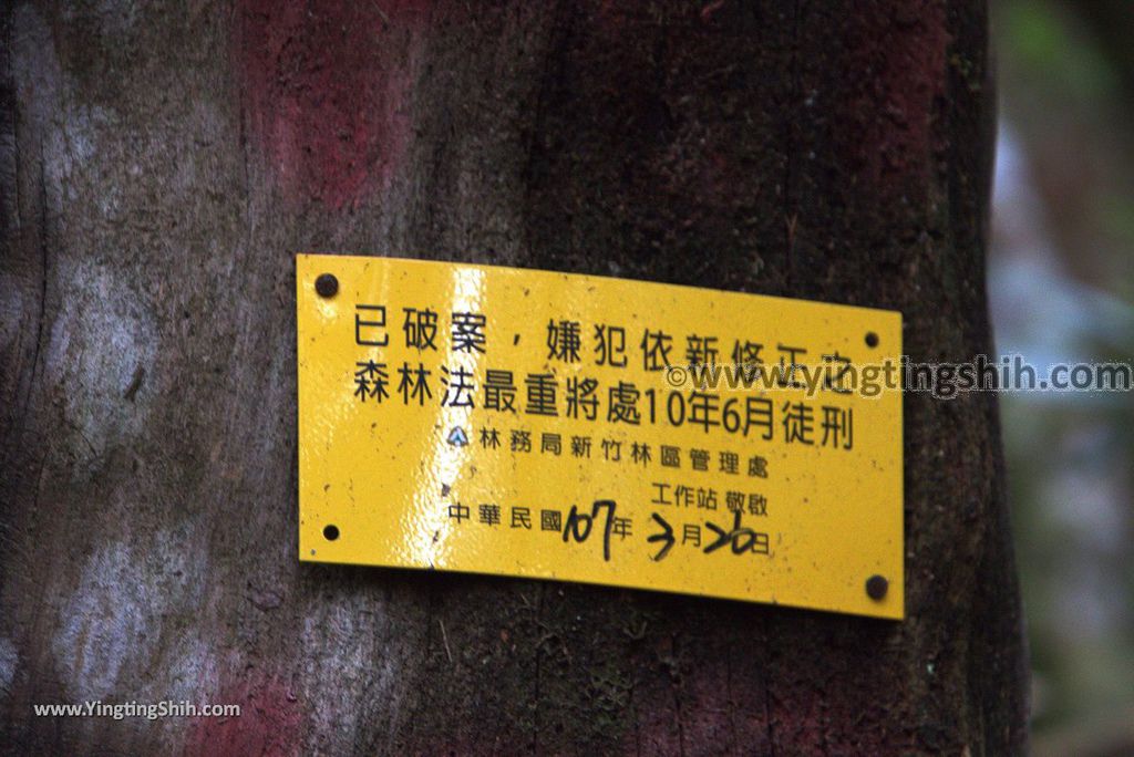 YTS_YTS_20190105_桃園復興塔曼山登山步道Taoyuan Fuxing Tamanshan Hiking Trail132_3A5A4292.jpg