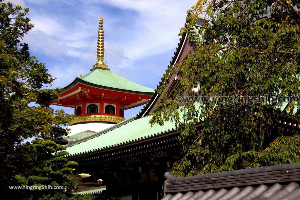 YTS_YTS_20180822_日本九州福岡東長寺／日本最大木雕佛像／福岡大佛Japan Kyushu Fukuoka Tochoji Temple001_3A5A7729.jpg