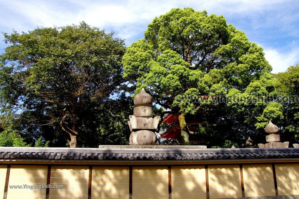 YTS_YTS_20180822_日本九州福岡東長寺／日本最大木雕佛像／福岡大佛Japan Kyushu Fukuoka Tochoji Temple005_3A5A7722.jpg