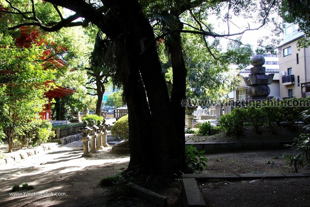 YTS_YTS_20180822_日本九州福岡東長寺／日本最大木雕佛像／福岡大佛Japan Kyushu Fukuoka Tochoji Temple041_3A5A7999.jpg