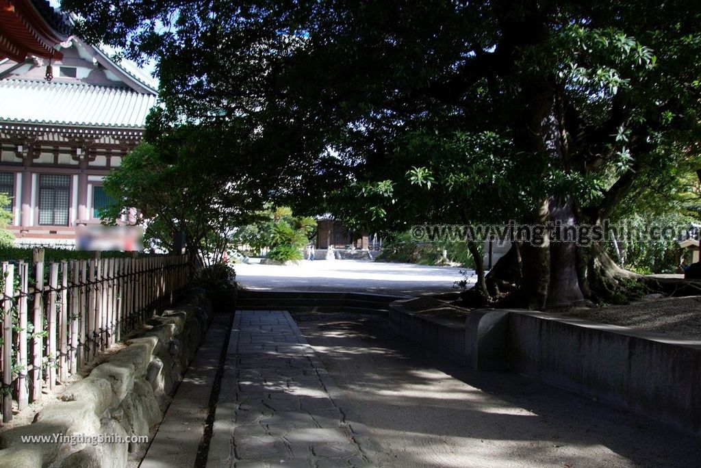 YTS_YTS_20180822_日本九州福岡東長寺／日本最大木雕佛像／福岡大佛Japan Kyushu Fukuoka Tochoji Temple048_3A5A8025.jpg