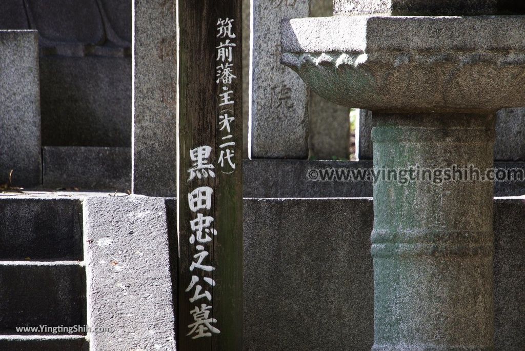 YTS_YTS_20180822_日本九州福岡東長寺／日本最大木雕佛像／福岡大佛Japan Kyushu Fukuoka Tochoji Temple054_3A5A8049.jpg