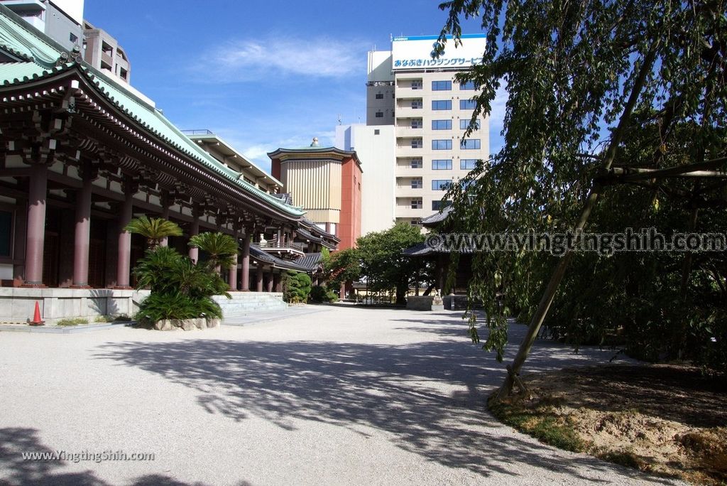 YTS_YTS_20180822_日本九州福岡東長寺／日本最大木雕佛像／福岡大佛Japan Kyushu Fukuoka Tochoji Temple055_3A5A8066.jpg