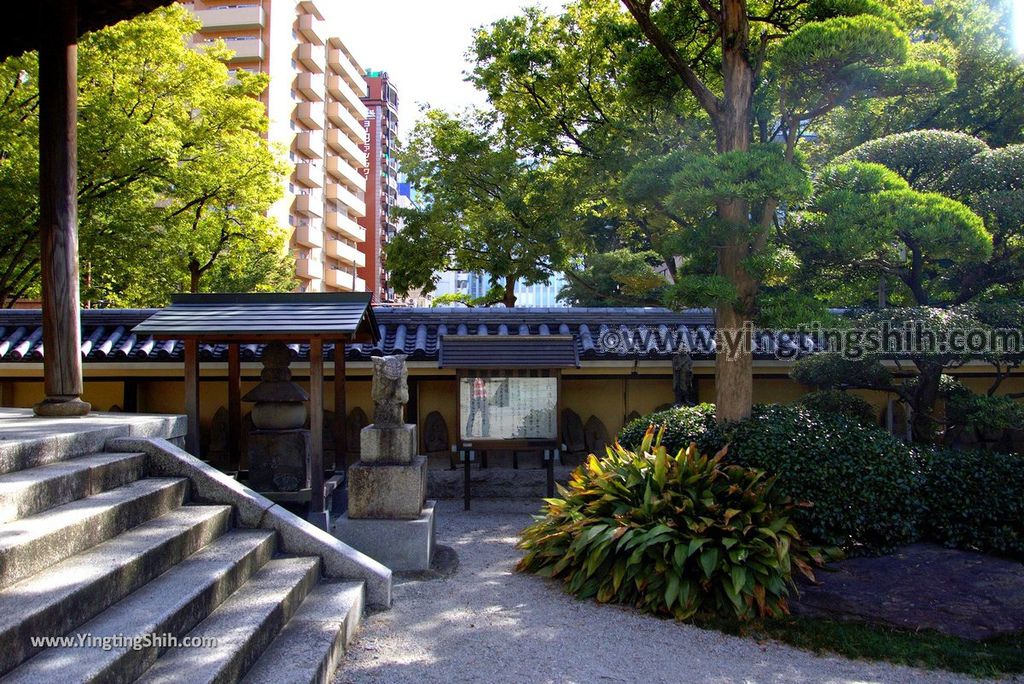 YTS_YTS_20180822_日本九州福岡東長寺／日本最大木雕佛像／福岡大佛Japan Kyushu Fukuoka Tochoji Temple061_3A5A7832.jpg