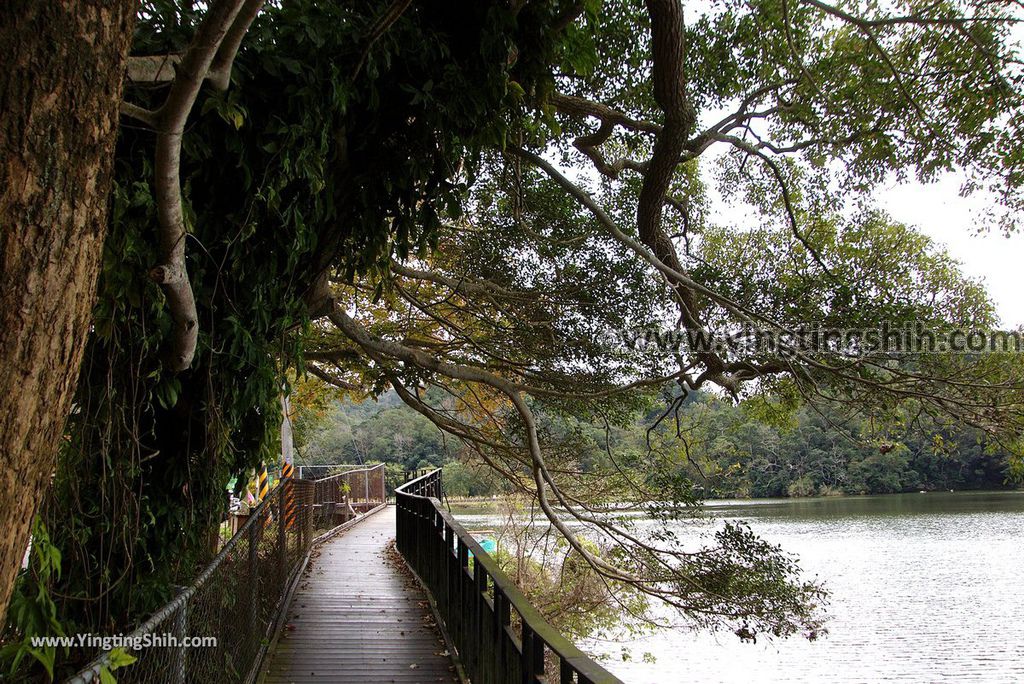 YTS_YTS_20190101_苗栗三義西湖／德興池／湖畔咖啡Miaoli Sanyi West Lake Resortopia Lake Coffee／Dexing Pond020_3A5A7912.jpg