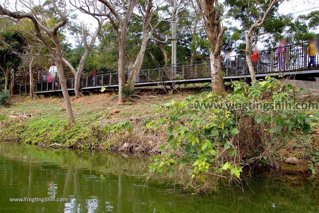 YTS_YTS_20190101_苗栗三義西湖／德興池／湖畔咖啡Miaoli Sanyi West Lake Resortopia Lake Coffee／Dexing Pond062_3A5A8388.jpg