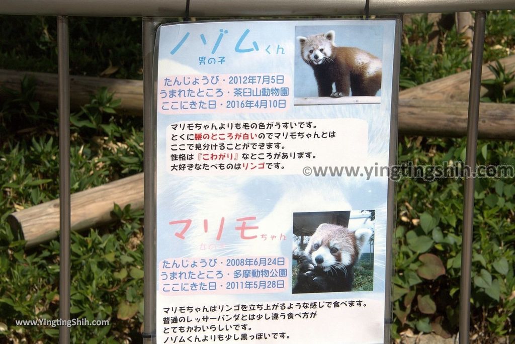 YTS_YTS_20180822_日本九州福岡福岡市動物園／動物科學館／摩天輪Japan Kyushu Fukuoka Fukuoka City Zoological Garden031_3A5A1776.jpg