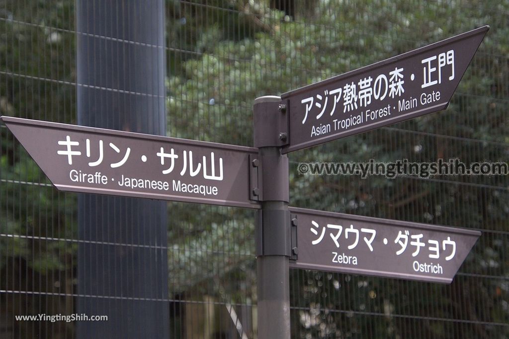 YTS_YTS_20180822_日本九州福岡福岡市動物園／動物科學館／摩天輪Japan Kyushu Fukuoka Fukuoka City Zoological Garden063_3A5A3879.jpg