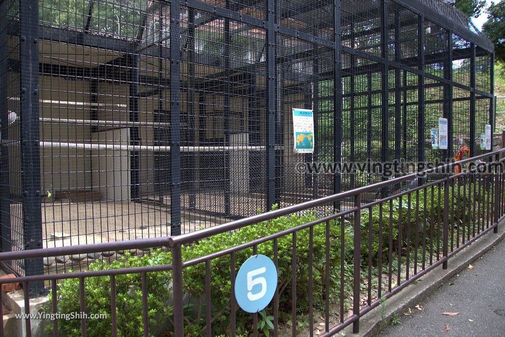 YTS_YTS_20180822_日本九州福岡福岡市動物園／動物科學館／摩天輪Japan Kyushu Fukuoka Fukuoka City Zoological Garden065_3A5A3885.jpg