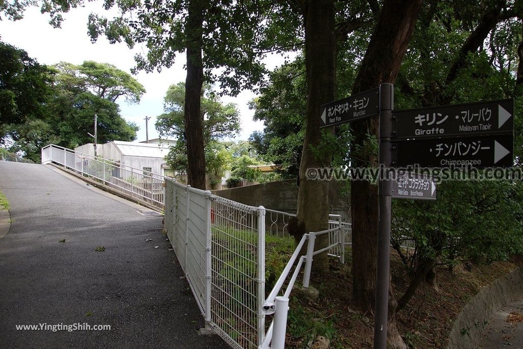 YTS_YTS_20180822_日本九州福岡福岡市動物園／動物科學館／摩天輪Japan Kyushu Fukuoka Fukuoka City Zoological Garden083_3A5A4075.jpg