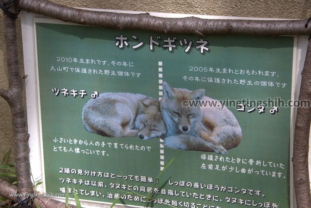 YTS_YTS_20180822_日本九州福岡福岡市動物園／動物科學館／摩天輪Japan Kyushu Fukuoka Fukuoka City Zoological Garden090_3A5A4097.jpg